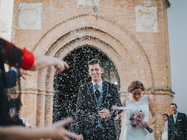 La boda de Jose Antonio y Rocio en Lora Del Rio, Sevilla 33
