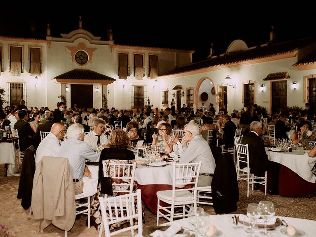 La boda de Manu y Lourdes en Gibraleon, Huelva 119