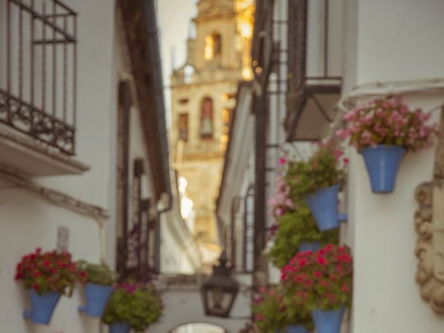 La boda de Ángela y Daniel en Montilla, Córdoba 34