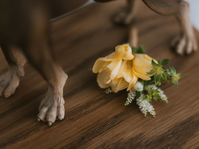 La boda de Alex y Alba en San Agustin De Guadalix, Madrid 7