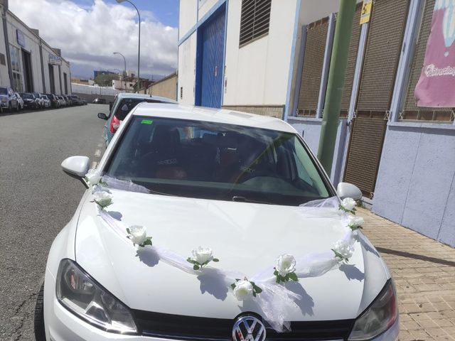La boda de Carolina y Kiara en Las Palmas De Gran Canaria, Las Palmas 10
