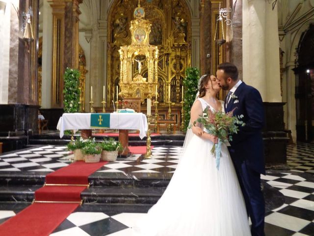 La boda de Alfredo  y Vanesa  en Jaén, Jaén 10