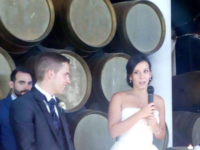 La boda de Fernando  y Lidia en Laguardia, Álava 14