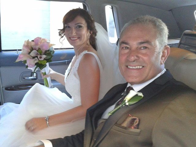 La boda de Sergio y Maria del Mar en Valdepeñas, Ciudad Real 1