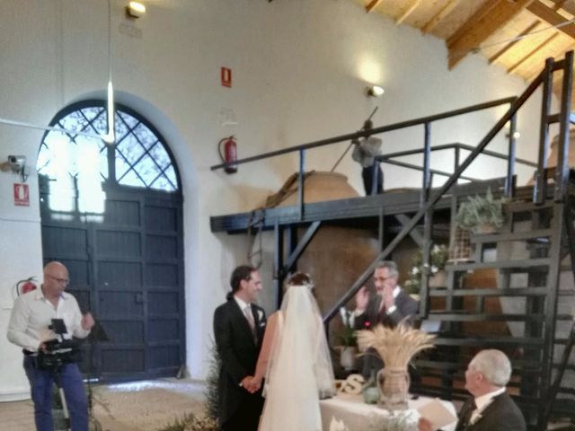 La boda de Sergio y Maria del Mar en Valdepeñas, Ciudad Real 13