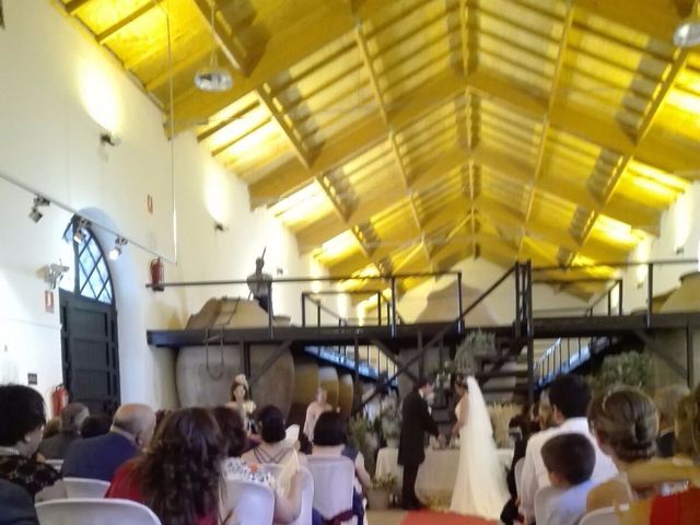 La boda de Sergio y Maria del Mar en Valdepeñas, Ciudad Real 19