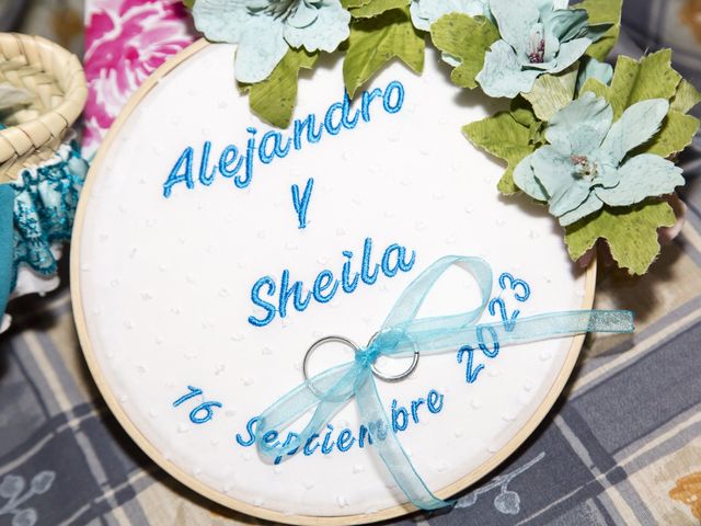 La boda de Sheila y Alejandro en Aranjuez, Madrid 7