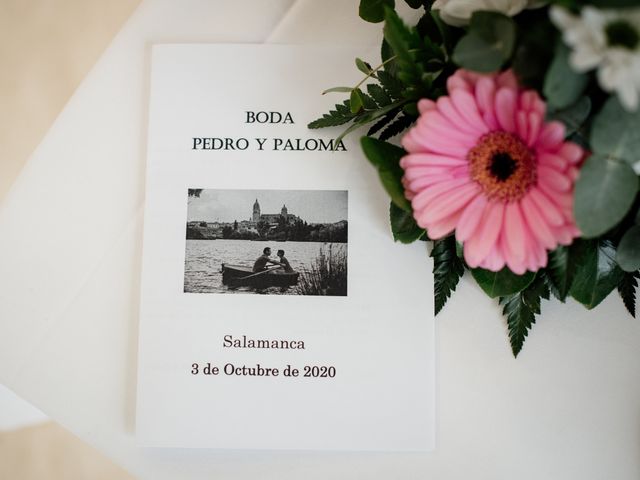 La boda de Pedro y Paloma en Salamanca, Salamanca 21