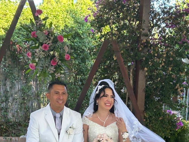 La boda de David y Alicia en Valls, Tarragona 6
