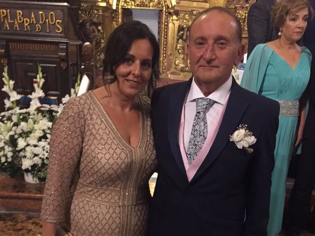 La boda de Antonio  y Macarena  en Córdoba, Córdoba 16