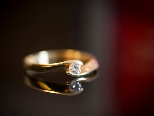 La boda de Carlos  y Mariona en Sant Fost De Campsentelles, Barcelona 1