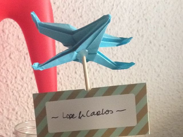 La boda de César y Nuria en Navaluenga, Ávila 7