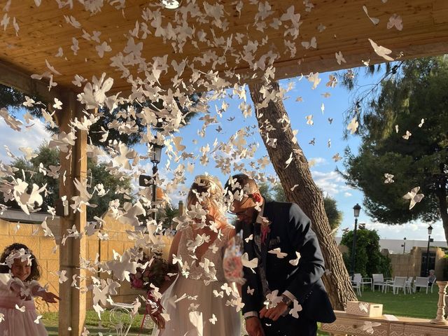 La boda de David y Marina en Pedrola, Zaragoza 2