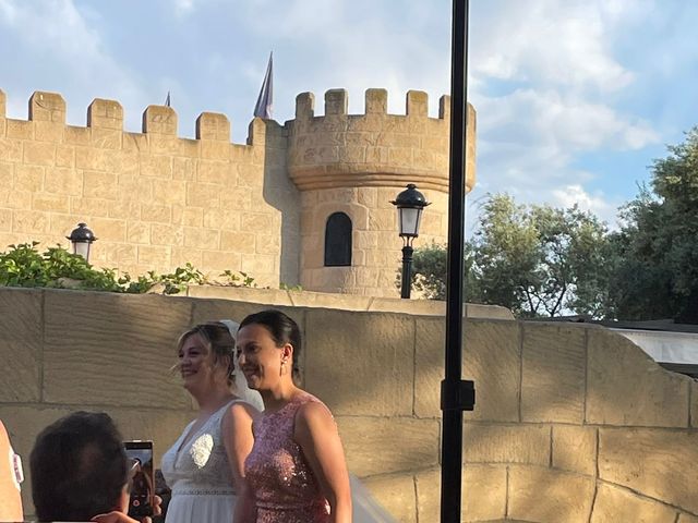La boda de David y Marina en Pedrola, Zaragoza 3
