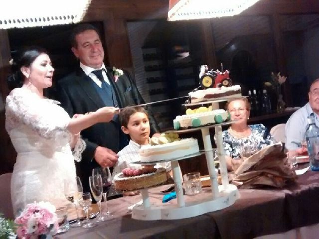 La boda de Paco y Carmen en Malpica De Tajo, Toledo 2