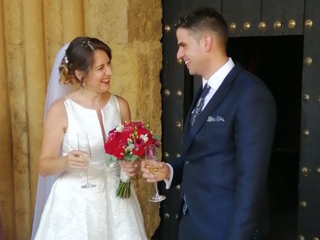 La boda de David y Estrella en Córdoba, Córdoba 8