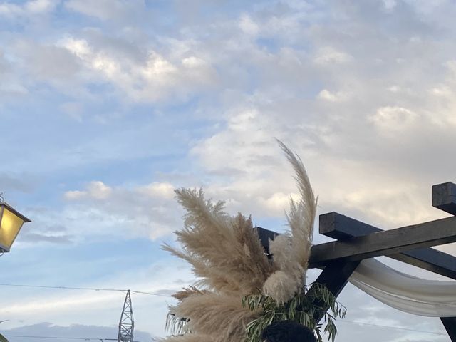 La boda de Julio  y Sara  en Dos Hermanas, Sevilla 3