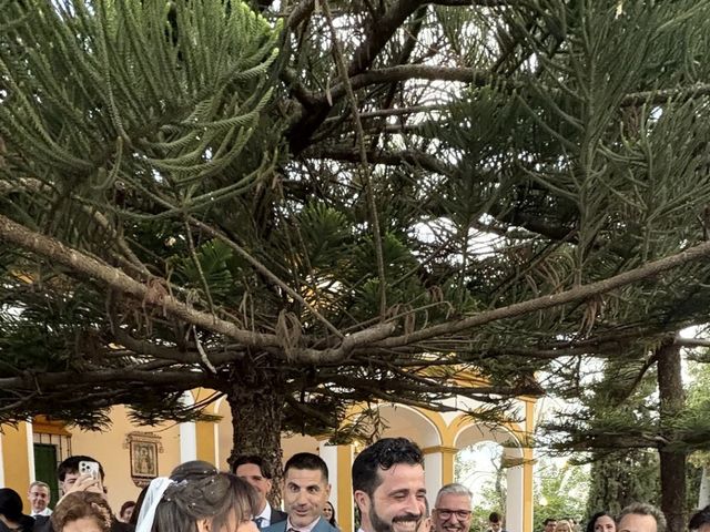 La boda de Julio  y Sara  en Dos Hermanas, Sevilla 5