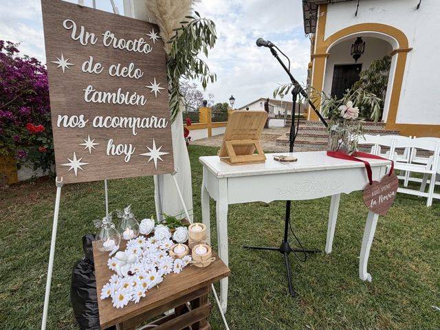 La boda de Julio  y Sara  en Dos Hermanas, Sevilla 6