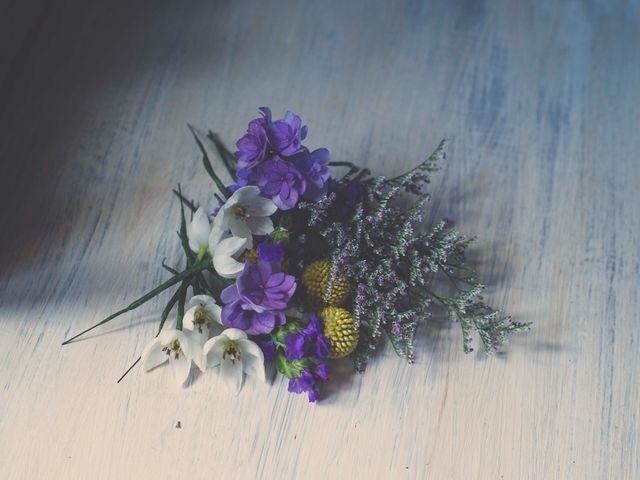 La boda de Denis y Verónica en Monterroso (San Miguel), Lugo 1