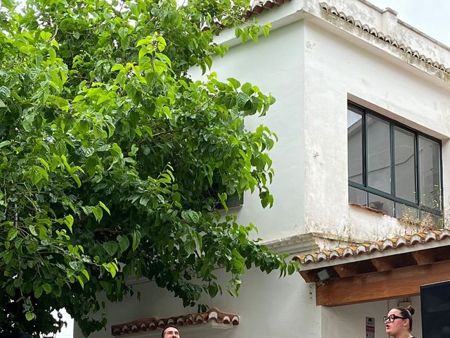 La boda de Laura y Pedro en Museros, Valencia 1