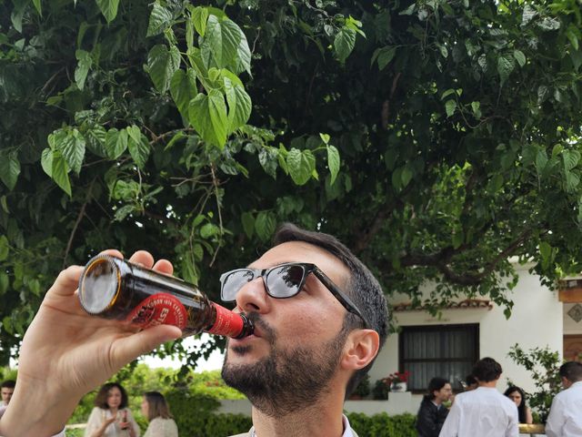 La boda de Laura y Pedro en Museros, Valencia 5