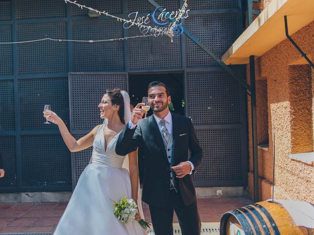 La boda de Alejandro y Estefania en Chiclana De La Frontera, Cádiz 30