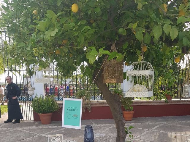 La boda de Emilio y Rocío en Palomares Del Rio, Sevilla 5