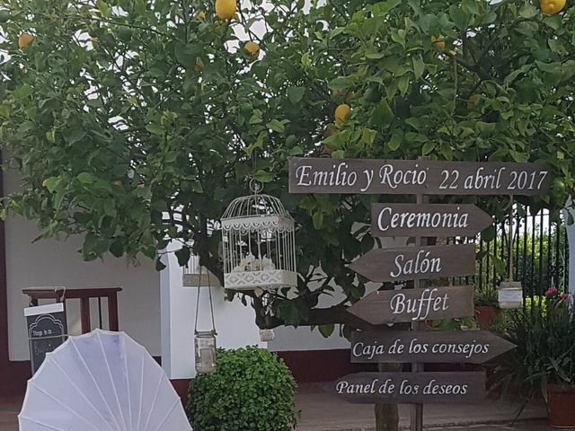 La boda de Emilio y Rocío en Palomares Del Rio, Sevilla 6