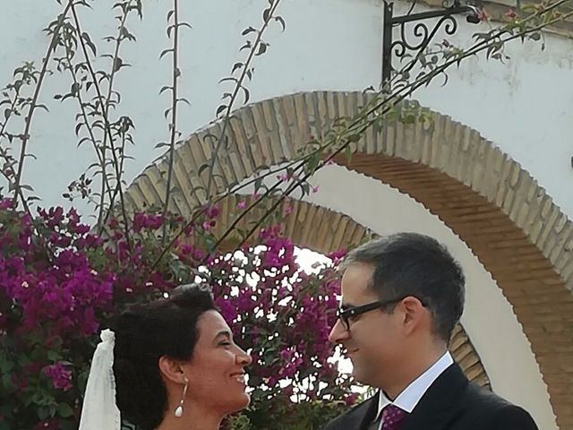 La boda de Emilio y Rocío en Palomares Del Rio, Sevilla 12