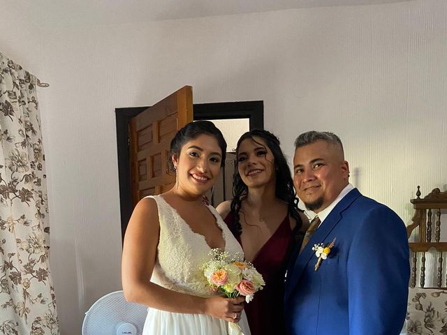 La boda de Raul y Paola en Colmenar De Oreja, Madrid 2