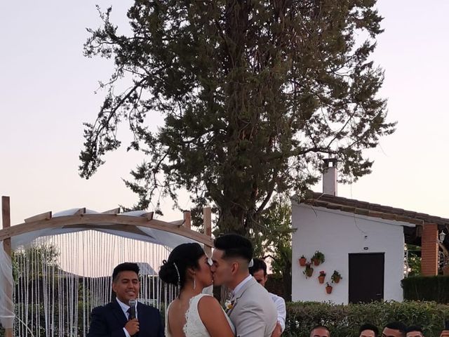 La boda de Raul y Paola en Colmenar De Oreja, Madrid 1