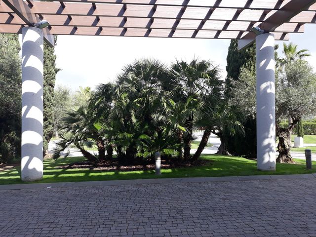 La boda de Goro y Debora  en Lepe, Huelva 6