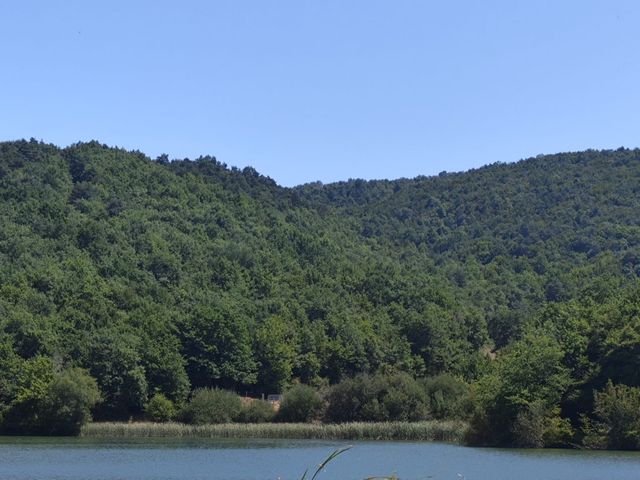 La boda de Adrián  y Claire en Beraiz, Navarra 4