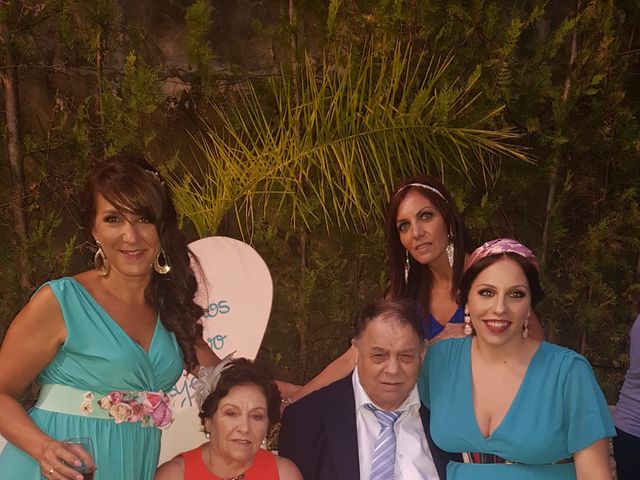 La boda de Carlos y Anabel en Jerez De La Frontera, Cádiz 10