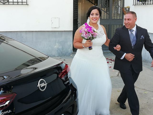 La boda de Carlos y Anabel en Jerez De La Frontera, Cádiz 51