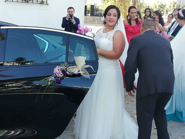 La boda de Carlos y Anabel en Jerez De La Frontera, Cádiz 52