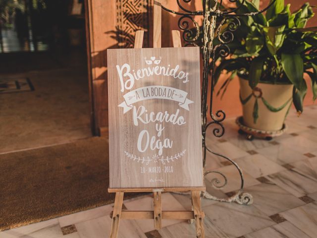 La boda de Ricardo y Olga en Alhaurin De La Torre, Málaga 29