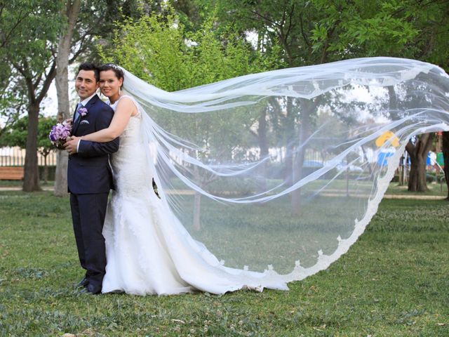 La boda de Vicente y Lorena en Trigueros, Huelva 12