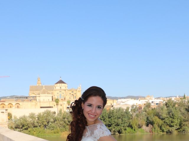 La boda de Víctor  y Ana  en Córdoba, Córdoba 20