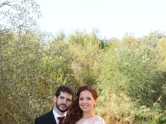 La boda de Víctor  y Ana  en Córdoba, Córdoba 21
