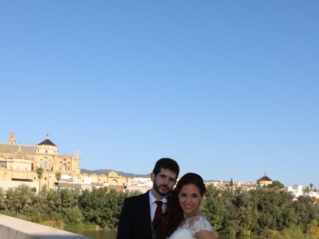 La boda de Víctor  y Ana  en Córdoba, Córdoba 26