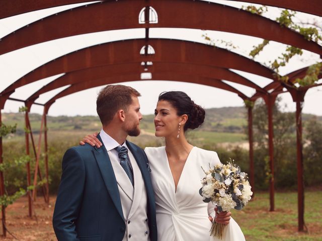 La boda de Andoitz y Leire en Laguardia, Álava 37