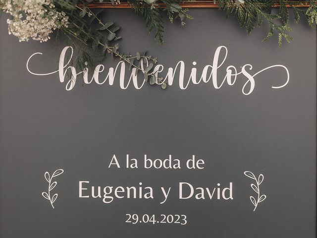 La boda de David y Eugenia en Elx/elche, Alicante 47