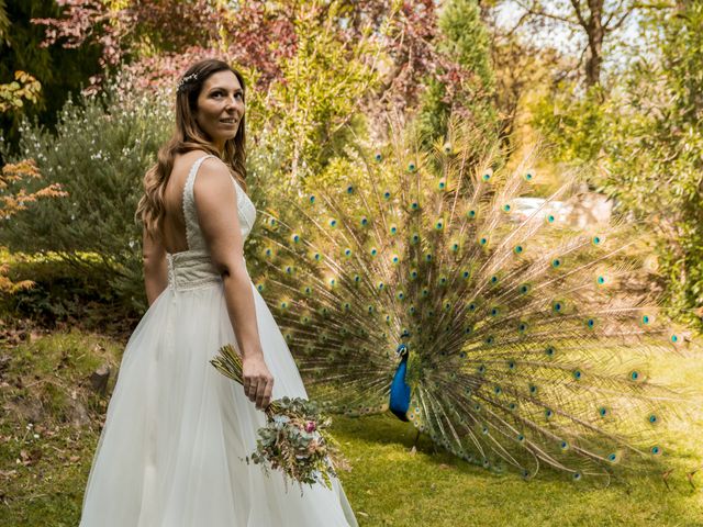 La boda de Jose y Irati en Loiu, Vizcaya 2