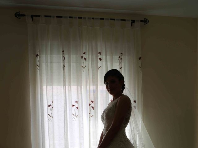 La boda de Juan Carlos y Lorena en Olula Del Rio, Almería 24