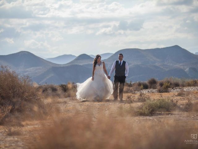 La boda de Juan Carlos y Lorena en Olula Del Rio, Almería 146