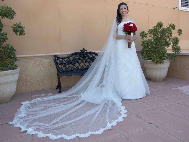 La boda de Antonio y Rocio en Rioja, Almería 16