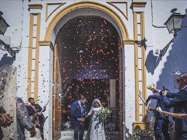 La boda de Octavio y Nati en Alcala De Guadaira, Sevilla 1