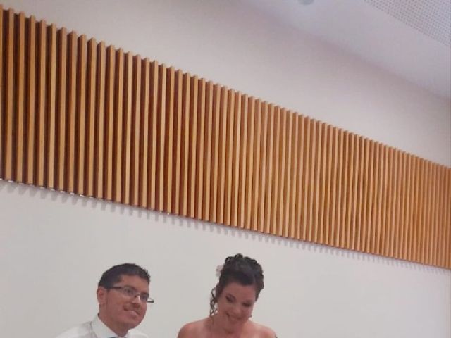 La boda de Jose Antonio y Vanessa en Elx/elche, Alicante 4